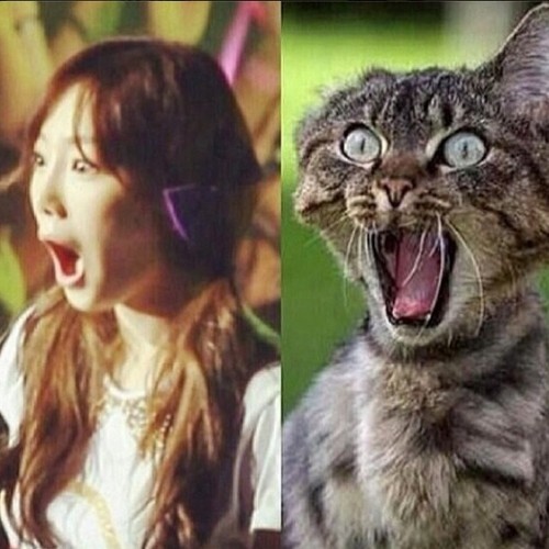 사진=태연 인스타그램(/Taeyeon_ss)