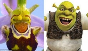 thumbimg