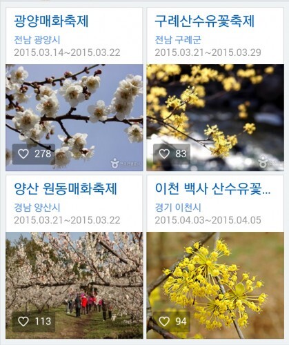 image (5)